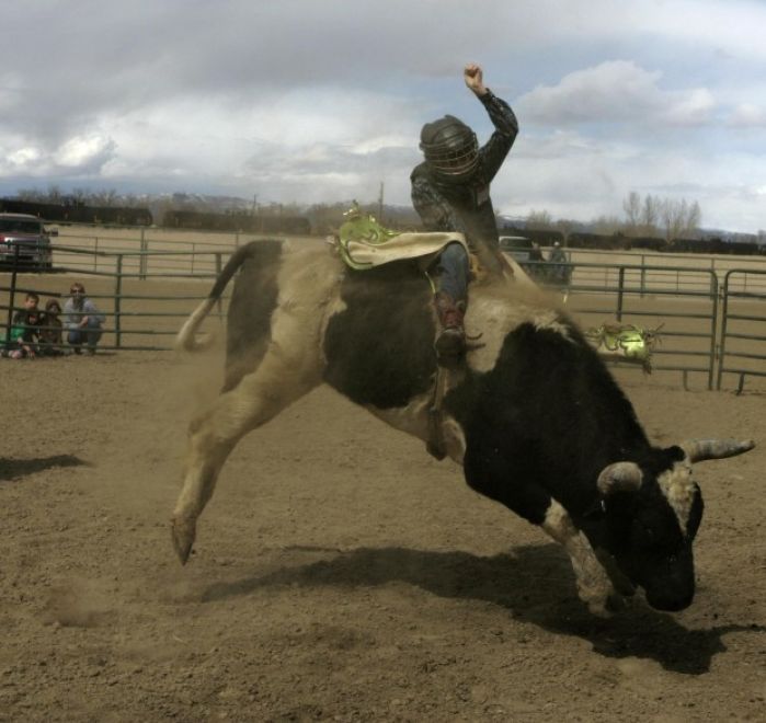 Mini Bull Riding